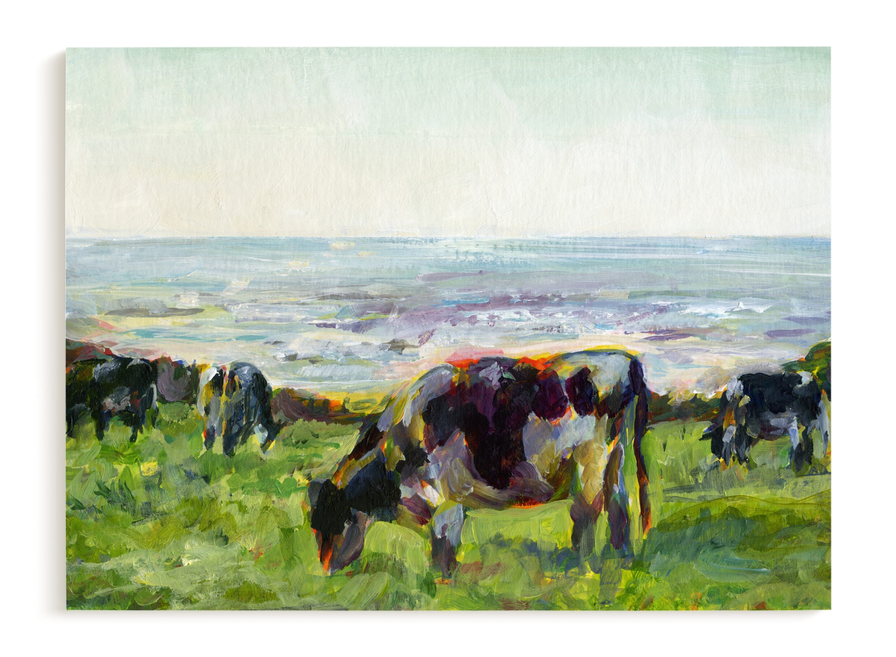 Marin Cows Limited Edition Fine Art Print 1 - Image 0