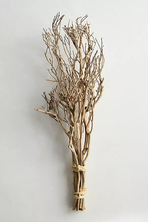 Dried Tea Tree Branches - Image 0