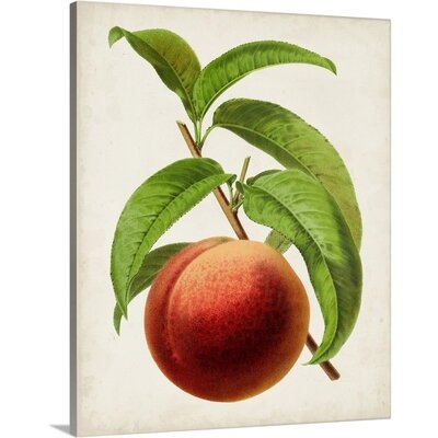 Antique Fruit V Canvas Wall Art - Image 0