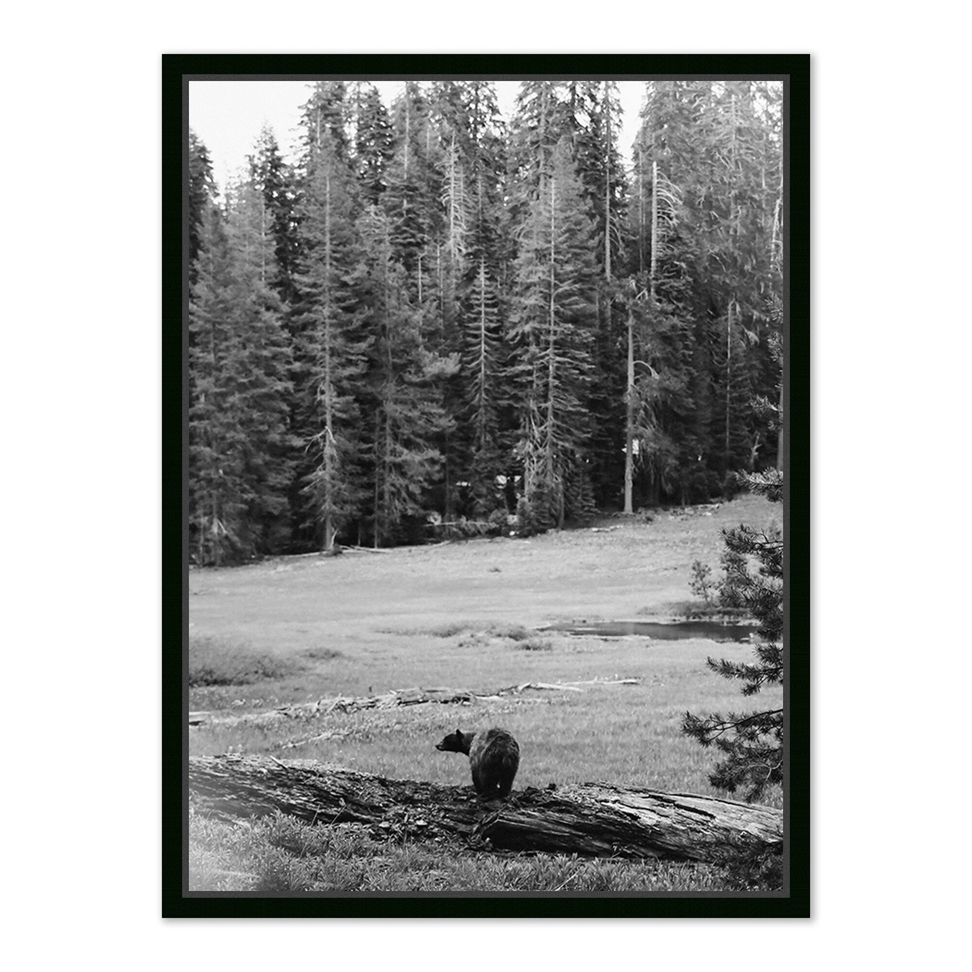 Don't Feed The Bears by Wesley and Emma Teague	 - Black Maple Floater - Image 0