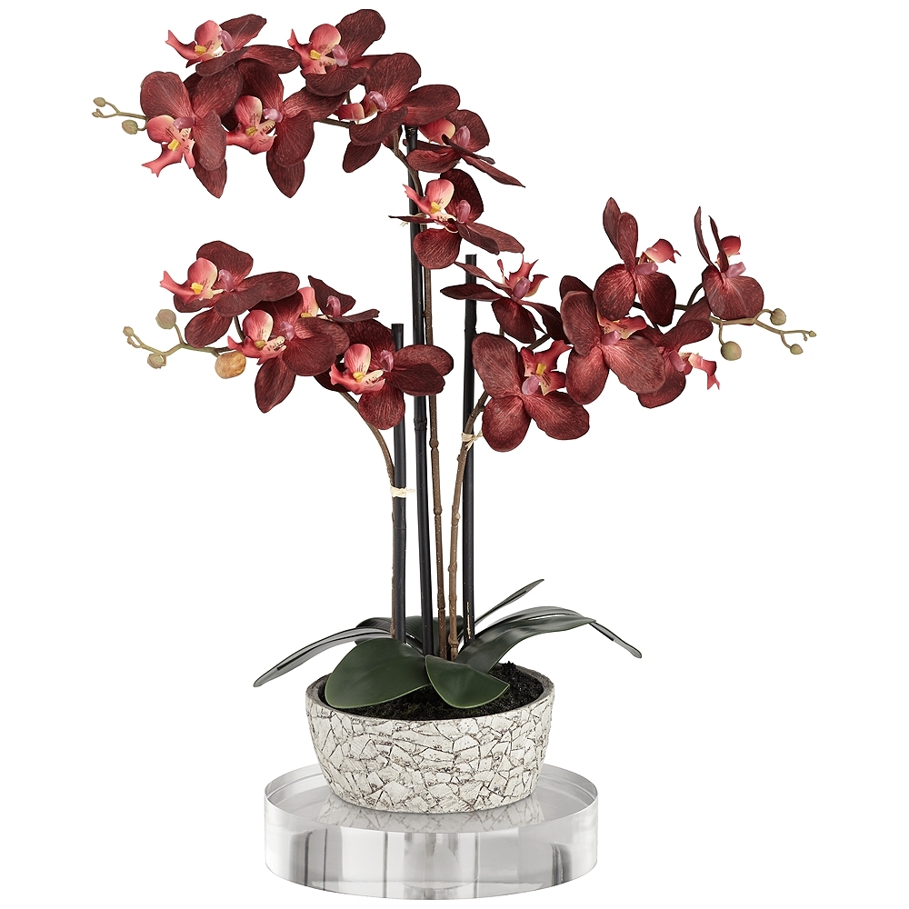 Red Orchid 24"H Faux Flower With 8" Round Acrylic Riser - Image 0