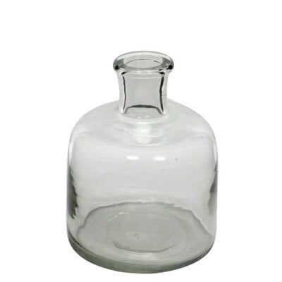 Anoushay Clear Indoor / Outdoor Glass Table Vase - Image 0