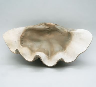 Fossilized Clam Decorative Object - Image 2