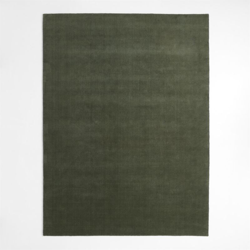 Northbrook Wool Handwoven Green Area Rug 6'x9' - Image 1