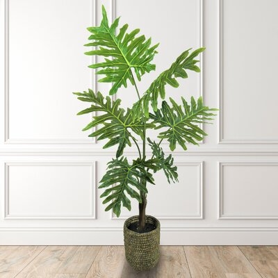 Sellom 48" Artificial Philodendron Plant in Basket - Image 0