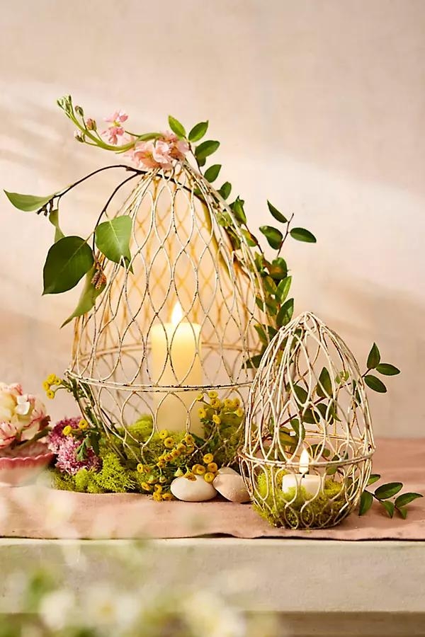 Wire Egg Cloche - Image 0