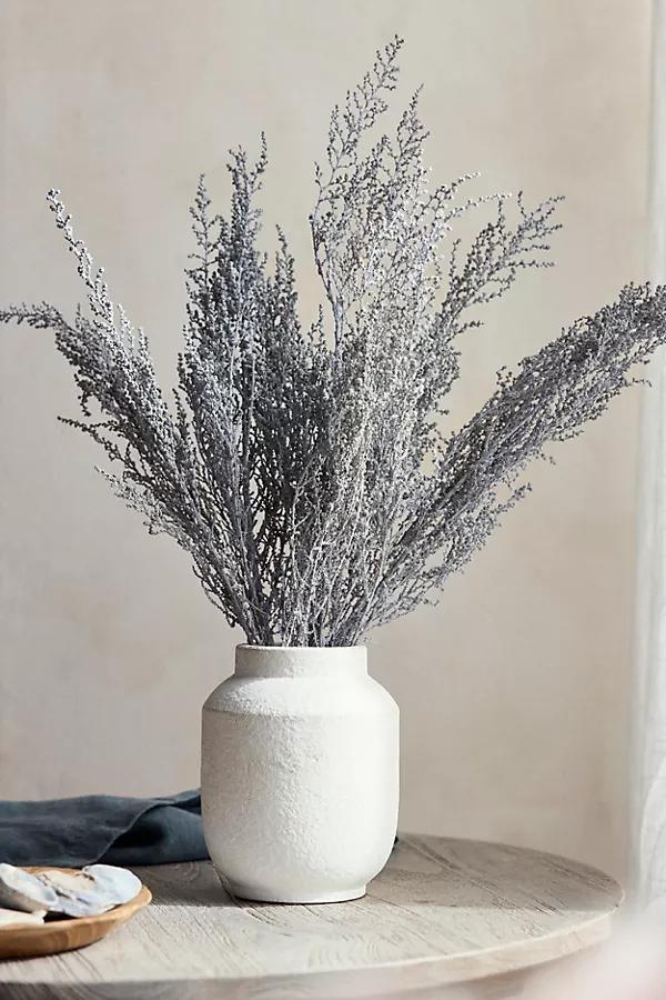 Preserved Stoebe Bunch - Image 0