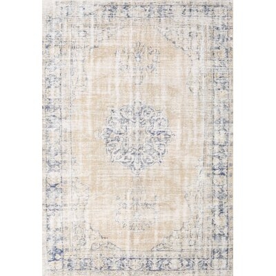 Traditional Beige/Gray Area Rug - Image 0