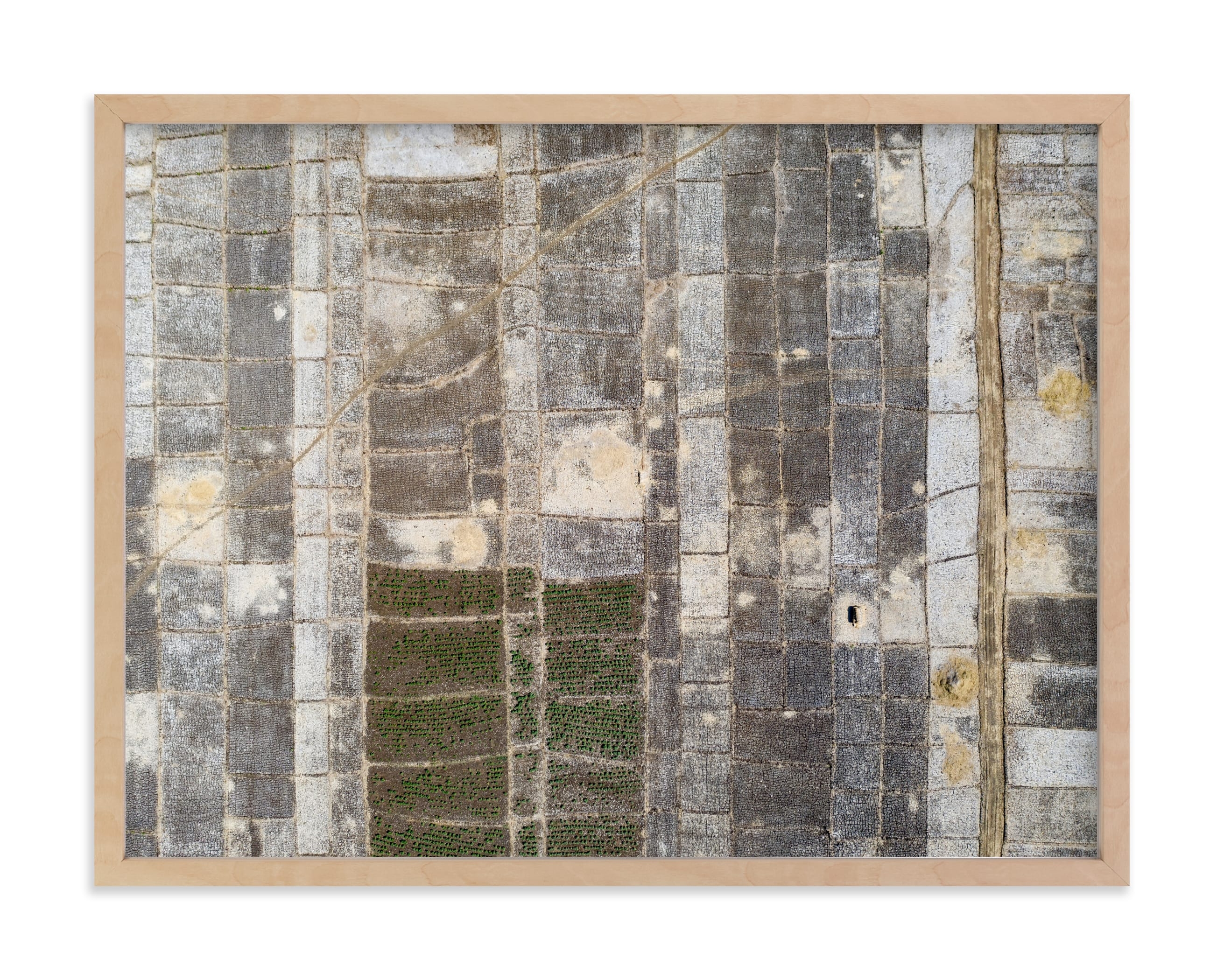 Transition Limited Edition Fine Art Print 2 - Image 0