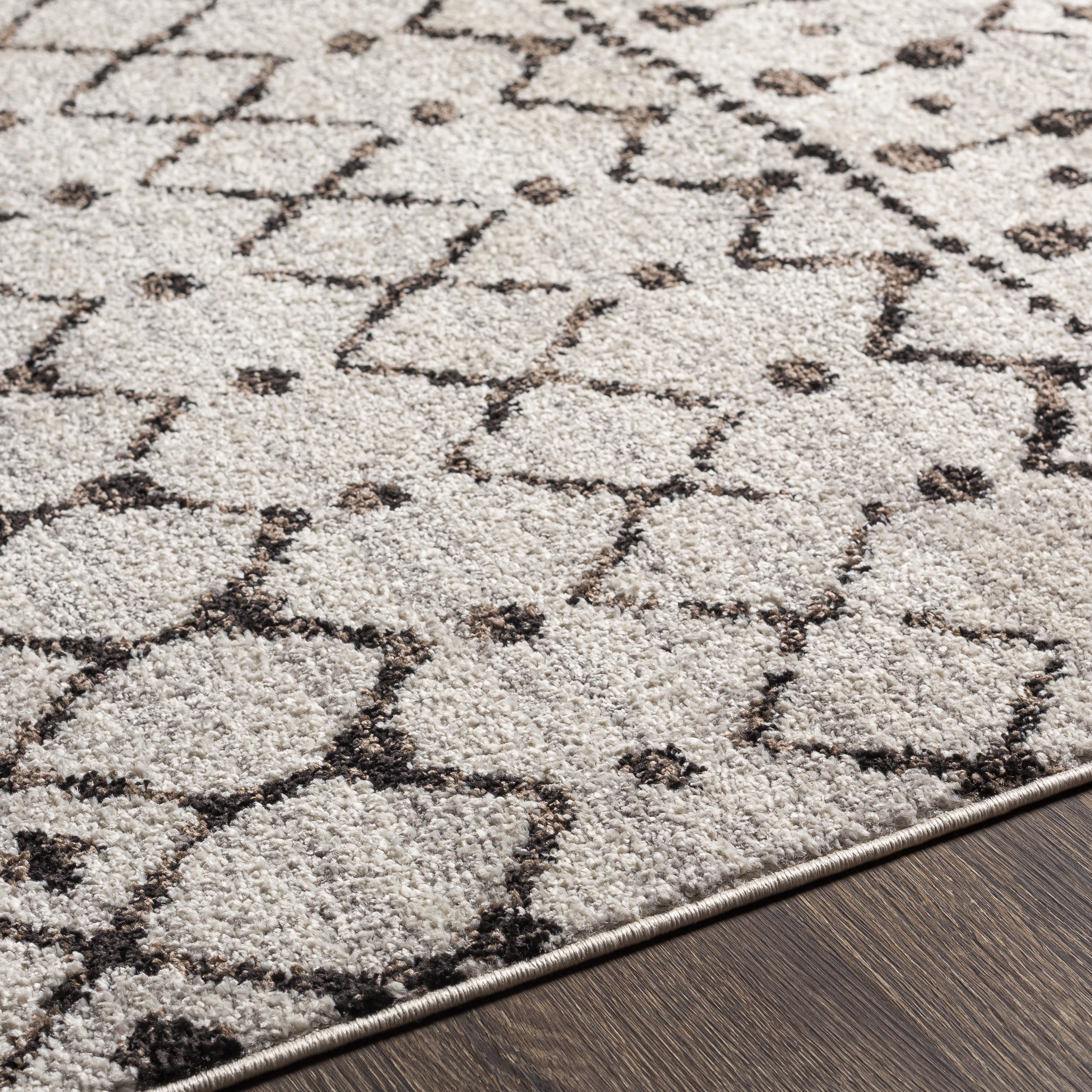 Blackburn Black Indoor 6'7" x 9' Machine Woven Rug - Image 2