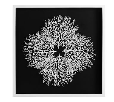 Coral Shadow Box Art, Black/White, Square - Image 0