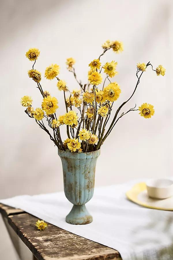 Dried Strawflower Bunch - Image 0