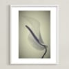 My Love For Calla #1 Limited Edition Fine Art Print 2 - Image 0