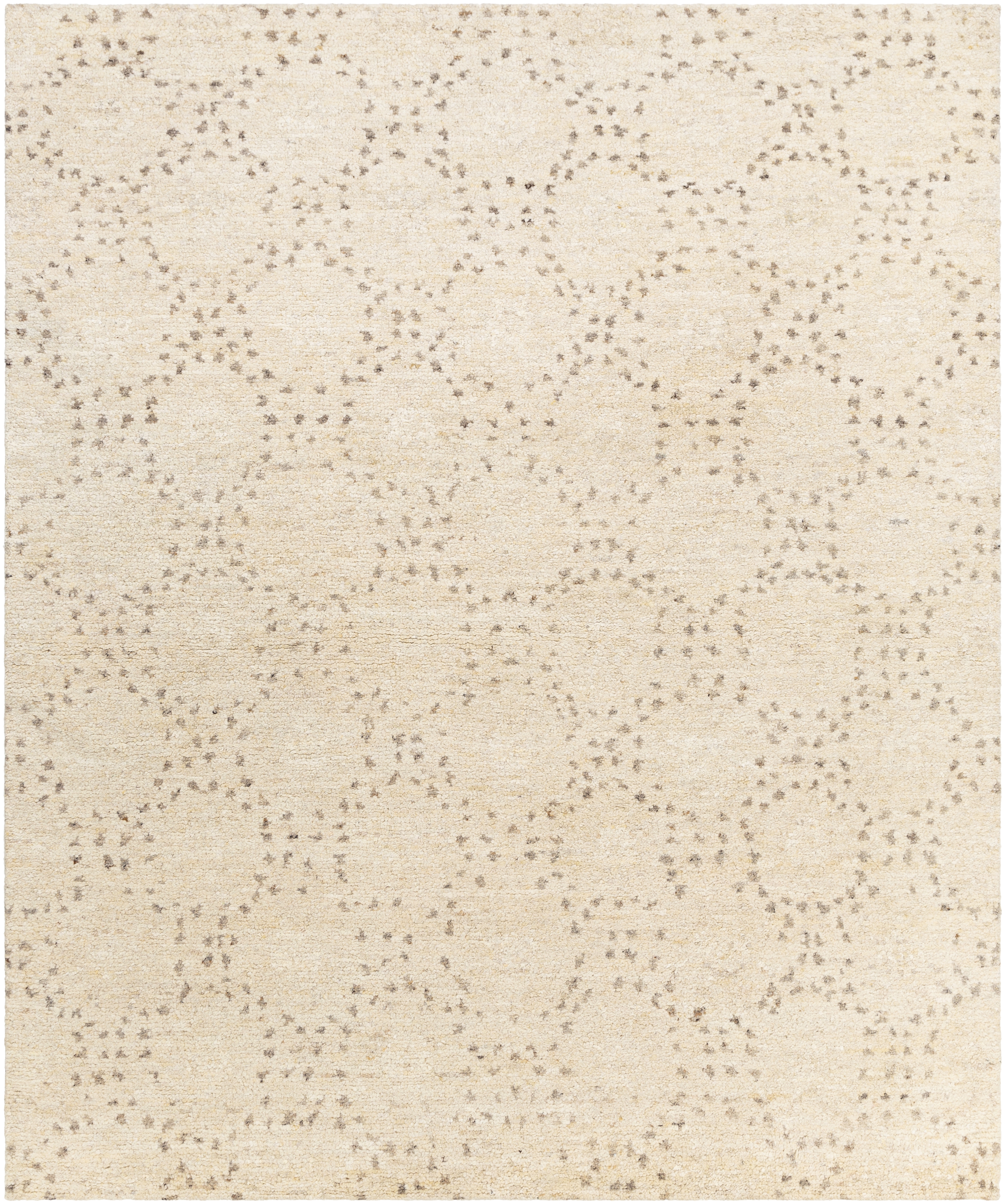 Pampa Beige Indoor 8' x 10' Handmade Rug - Image 0