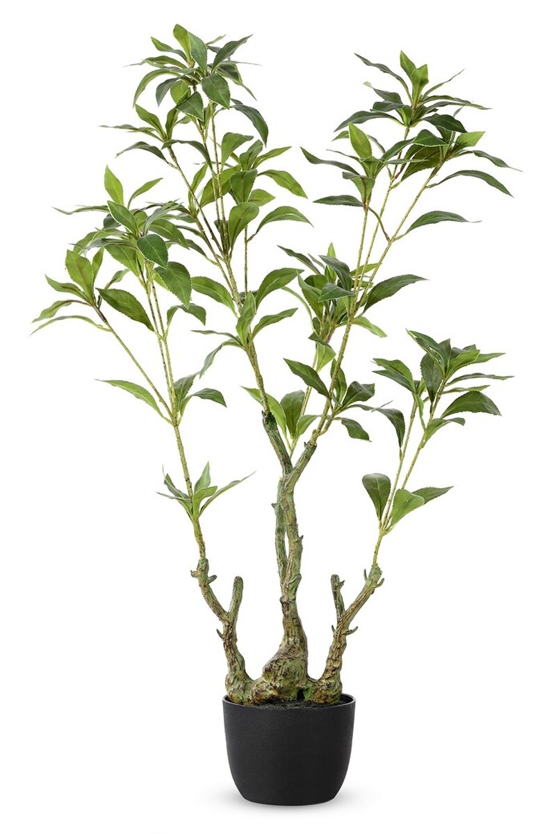Safavieh Faux 32" Potted Pierisjaponica - Image 0