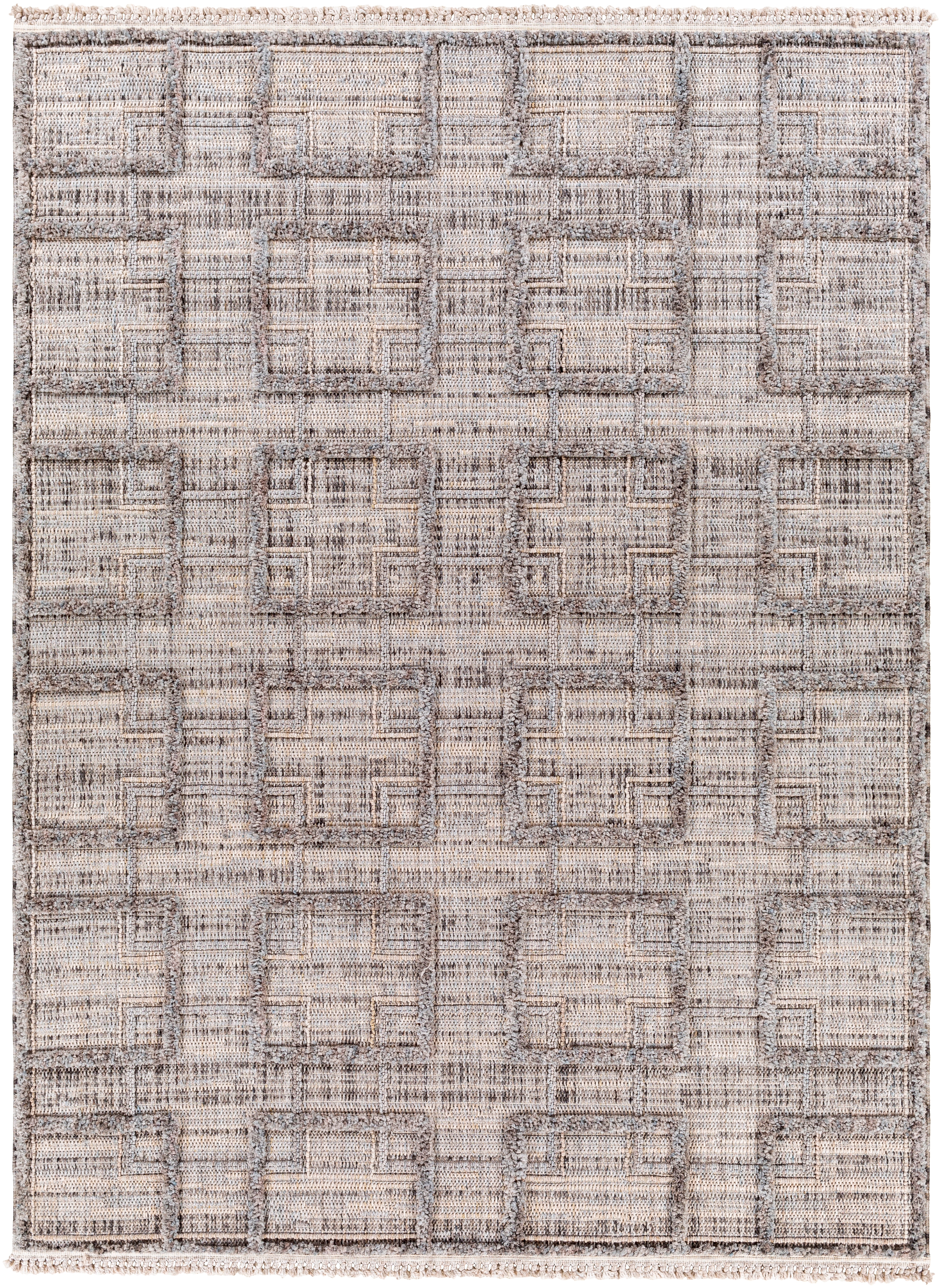 Zaragoza Gray Indoor 5'3" x 7' Machine Woven Rug - Image 0