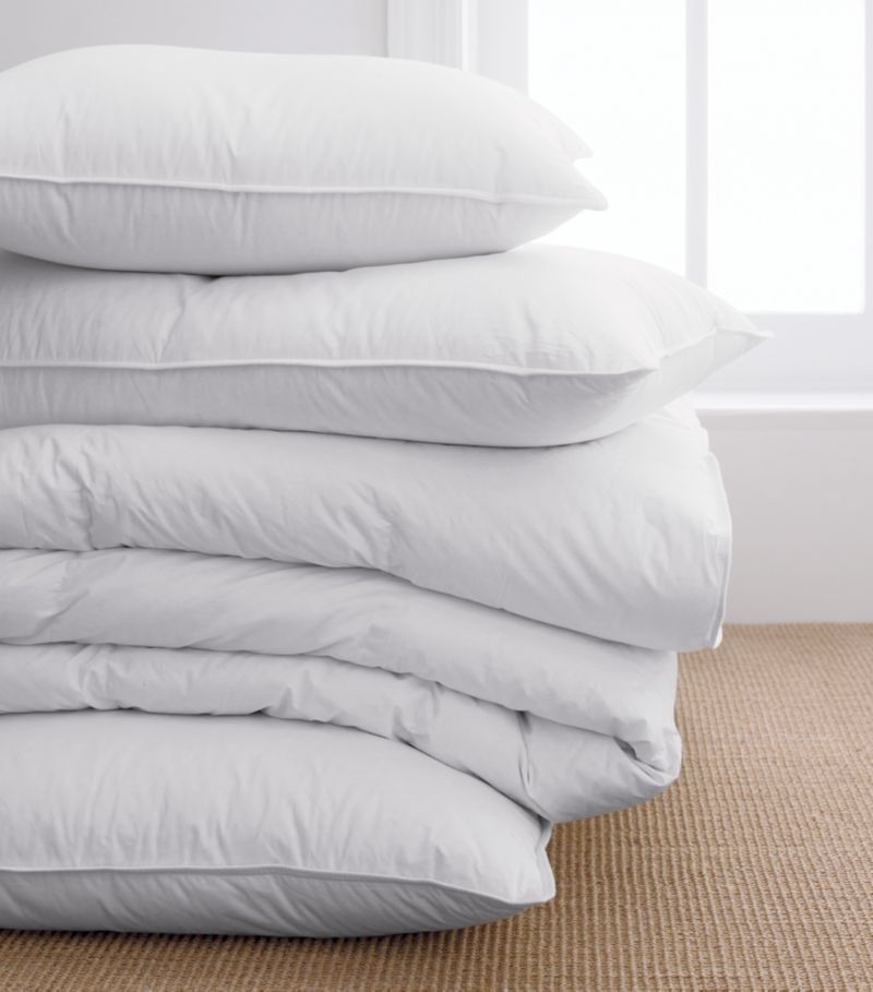 Feather 22"x15" Pillow Insert - Image 1