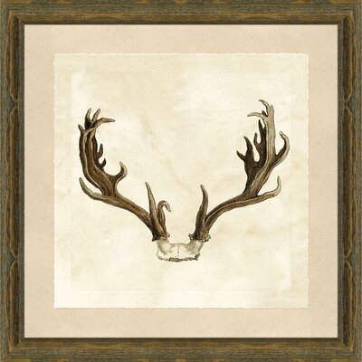 'Antler' - Picture Frame Graphic Art Print on Paper - Image 0