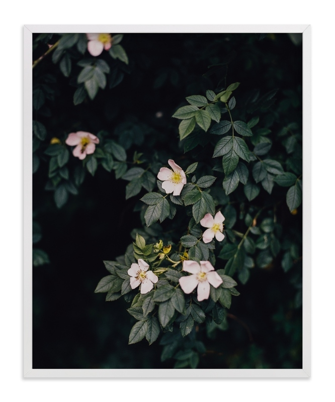 Moody White Roses Limited Edition Fine Art Print 1 - Image 0