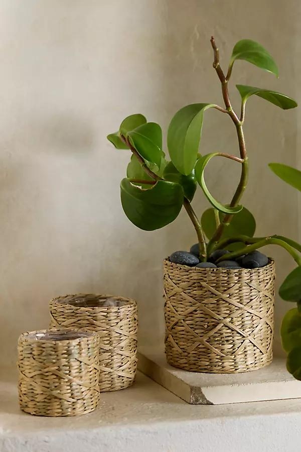 Woven Seagrass Mini Baskets, Set of 3 - Image 0