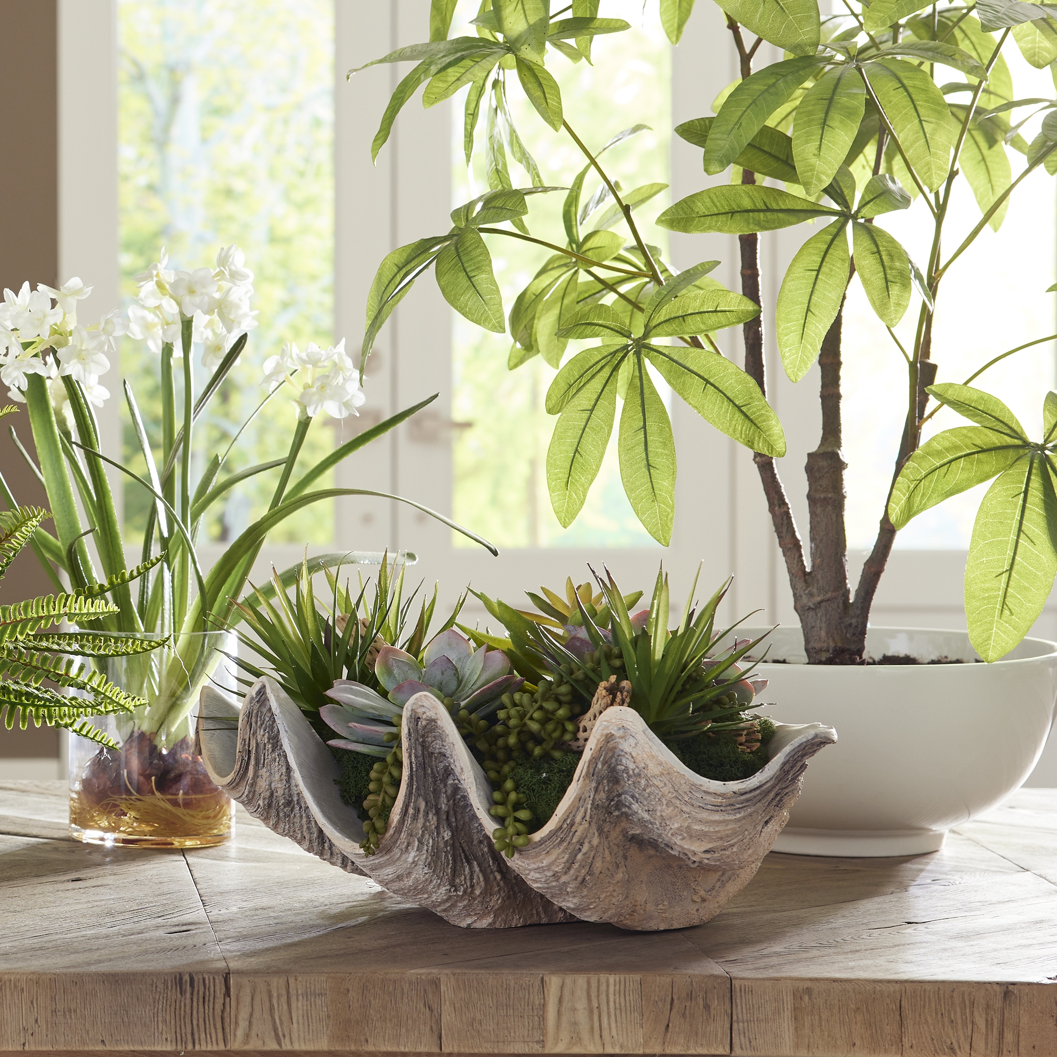 Seaside Breeze Succulents - Image 1