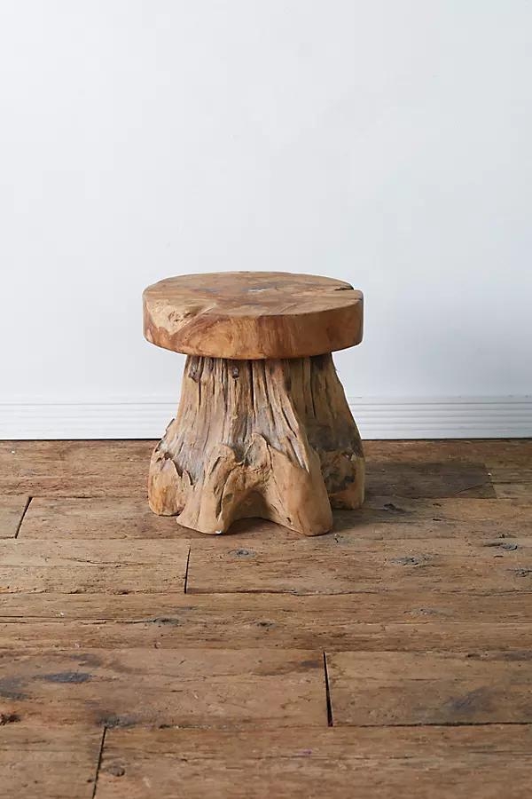 Teak Root Side Table - Image 0