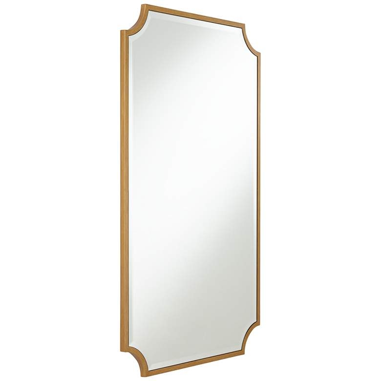 Jacinda Rounded Cut Edge Wall Mirror, Antique Gold, 24" x 40" - Image 4