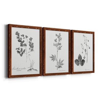 Havenly Botanical Imprint