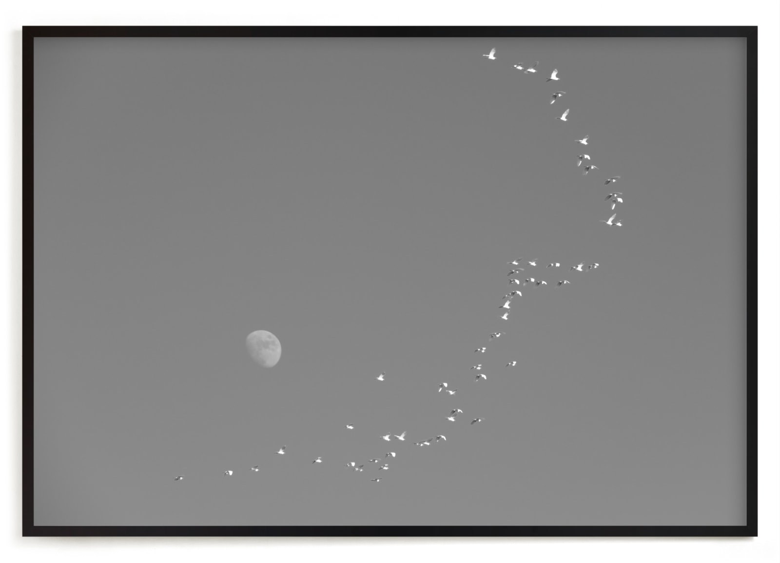 Flight And Hike I Open Edition Fine Art Print - Image 0