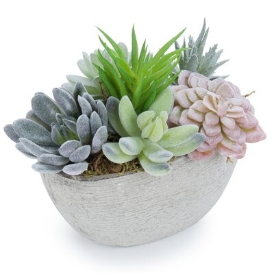 7 Inch Artificial Succulent In Pulp Pot Planter - Image 0