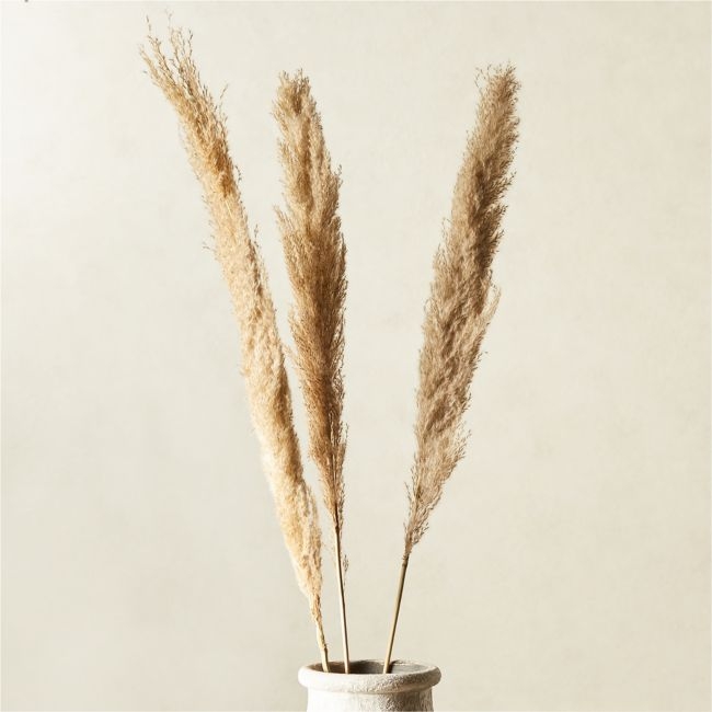 Feather Grass Stem, Set of 3 - Image 0