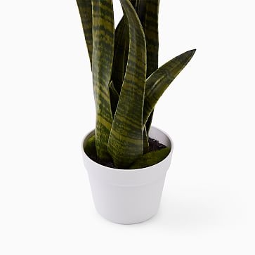 Faux Potted Snake Plant - Image 2