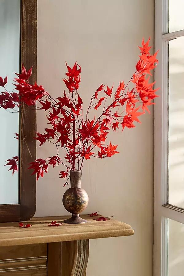 Preserved Japanese Maple Bunch - Image 0