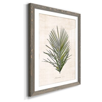 Palm Botanical I - Picture Frame Graphic Art Print on Paper - Image 0