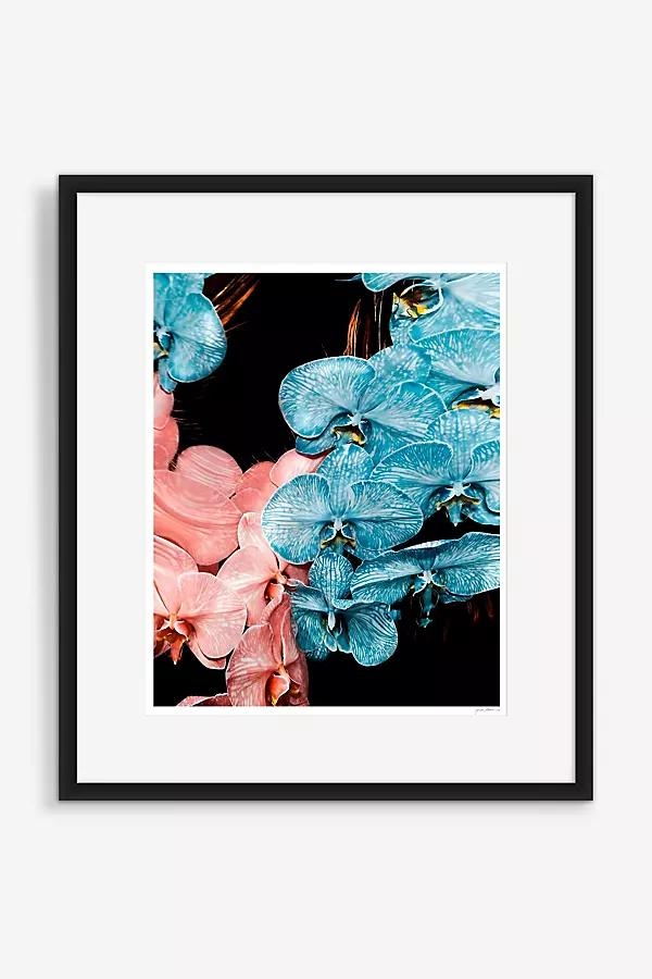 Liquid Mirrors in Tropics (Archive) by Jordan Tiberio for YoungArts Wall Art - Image 0