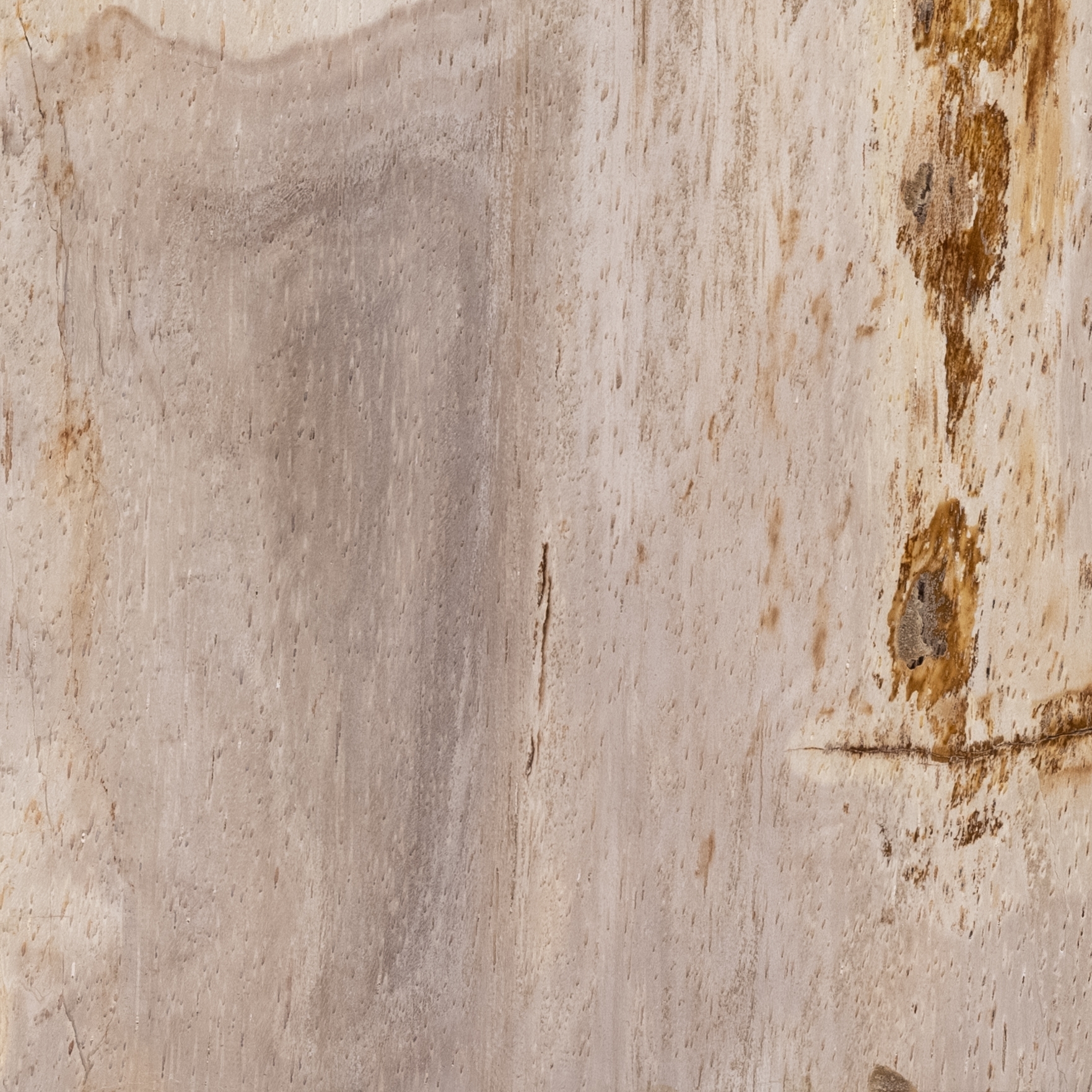 Galen End Table - Light Petrified Wood - Image 6