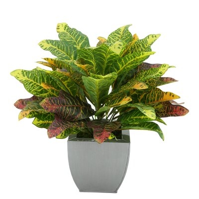 12'' Artificial Foliage Plant in Pot - Image 0