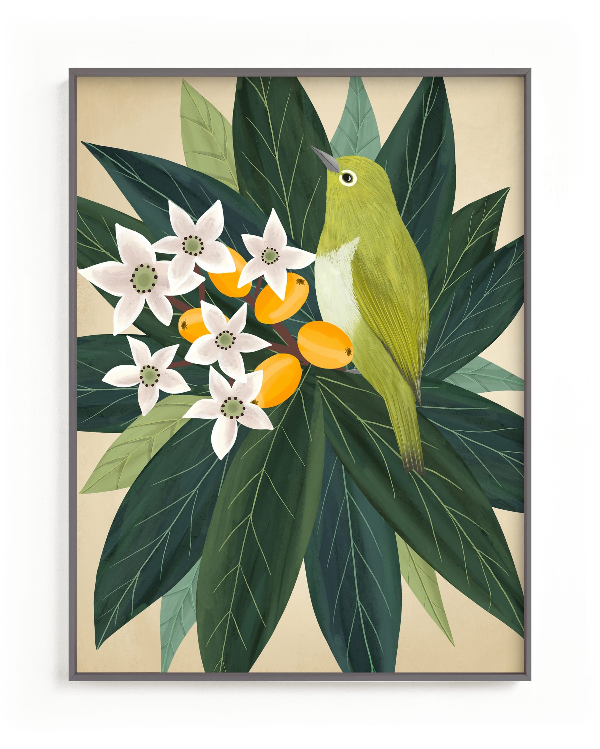 Loquat Limited Edition Fine Art Print 2 - Image 0
