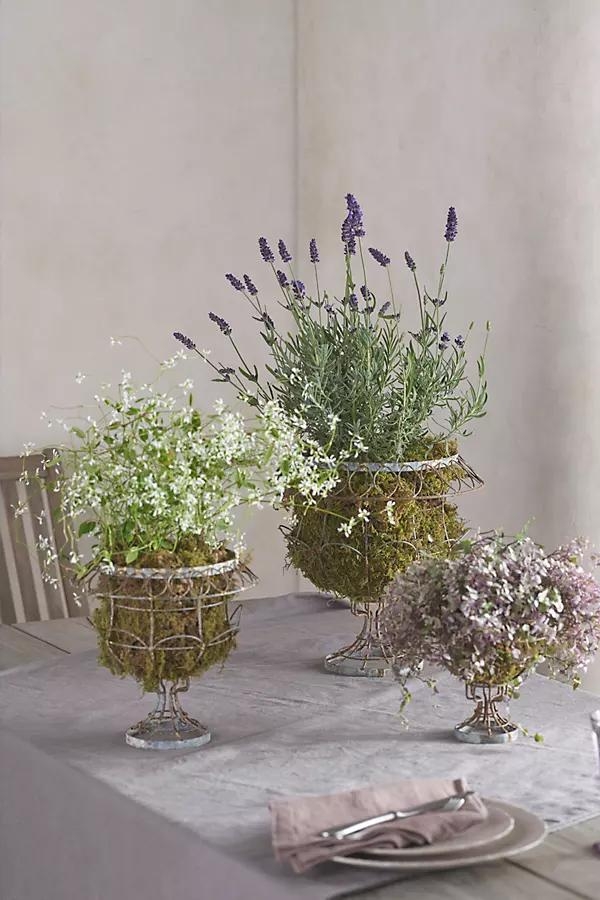 Scalloped Wire Urn Planter - Image 0