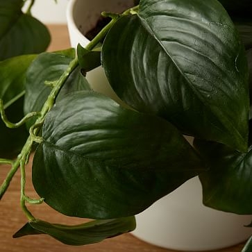 Faux Potted Green Philodendron, Medium - Image 1