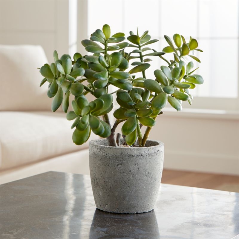 Potted Faux Jade Plant - Image 2