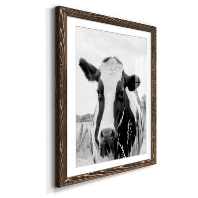  On The Pasture-Premium Framed Print - Ready To Hang - Image 0