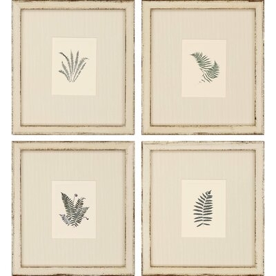 'Natural Ferns' - 4 Piece Picture Frame Graphic Art Set on Paper - Image 0