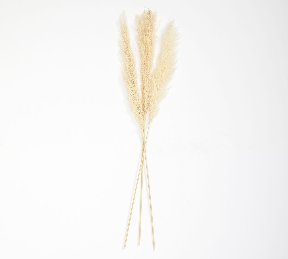 (DISCONTINUED) Pb Pampas Grass Branch: S/3: Golden - Image 0