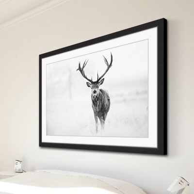 Elk Stare' Framed Photographic Print on Paper - Image 0