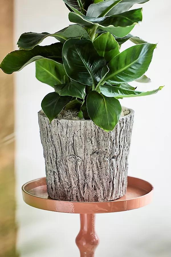 Faux Bois Taper Planter - Image 0