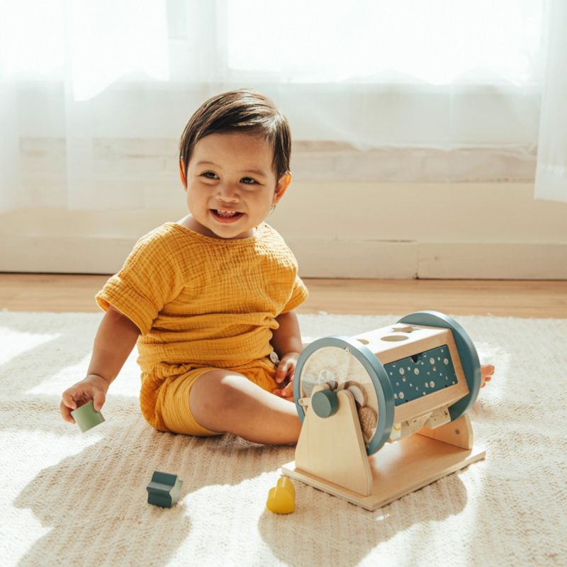 Wonder & Wise by Asweets Wooden Toddler Activity Roller Toy - Image 1