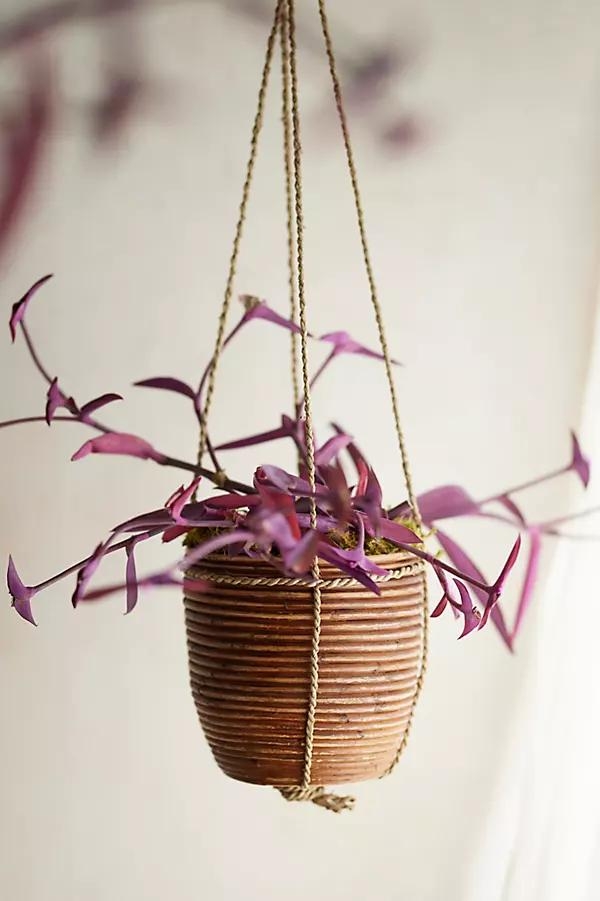 Hanging Rattan Stripe Basket Planter - Image 0