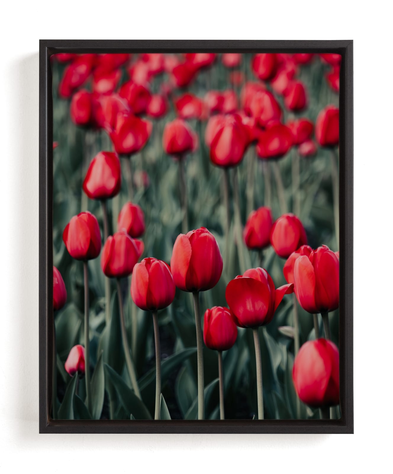 Red Tulips Limited Edition Fine Art Print 2 - Image 0
