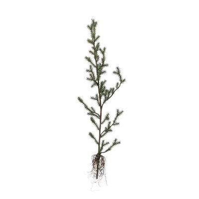 39" Artificial Pine Tree - Image 0
